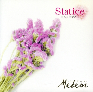 statice-スターチス-