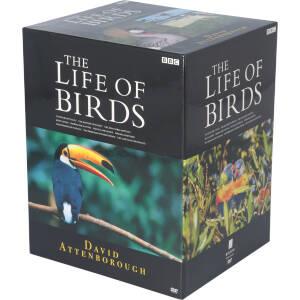 ライフ・オブ・バーズ/鳥の世界 DVD-BOX