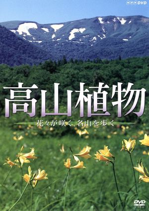 高山植物～花々が咲く、名山を歩く～