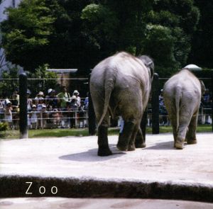 ZOO