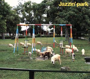 Jazzin'park