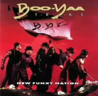 ニュー・ファンキー・ネーション