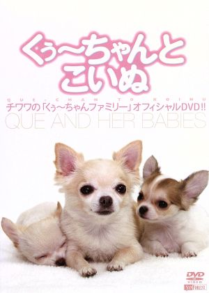 くぅ～ちゃんとこいぬ チワワの「くぅ～ちゃんファミリー」オフィシャルDVD!!