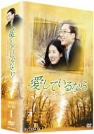 愛しているなら～インターナショナル・ヴァージョン～DVD-BOXI 新品DVD