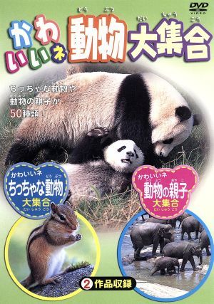 かわいいネ 動物大集合