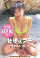 Island Blossom Super Price