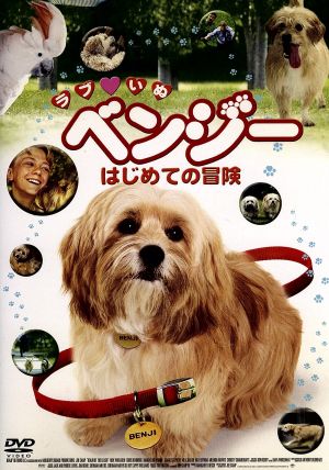 ラブ○いぬベンジー はじめての冒険 DVD | www.tc-mega.ru - その他