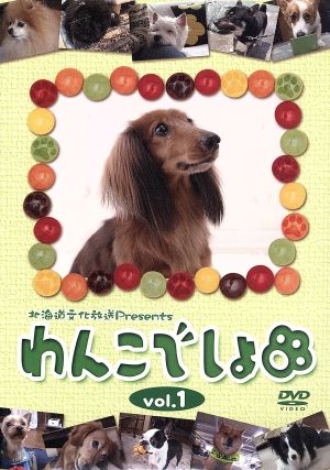 「わんこでしょ」DVD vol.1