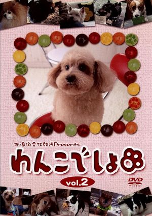 「わんこでしょ」DVD vol.2