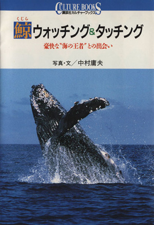 鯨ウォッチング&タッチング 豪快な“海の王者