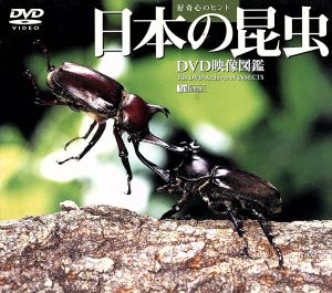 日本の昆虫 DVD映像図鑑