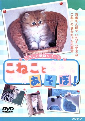 こねことあそぼ！ 中古DVD・ブルーレイ | ブックオフ公式オンラインストア