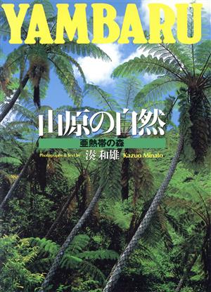 山原の自然 亜熱帯の森