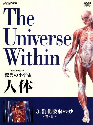NHKスペシャル 驚異の小宇宙 人体 消化吸収の妙〈胃・腸〉