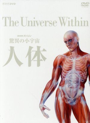 NHKスペシャル 驚異の小宇宙 人体 DVD-BOX