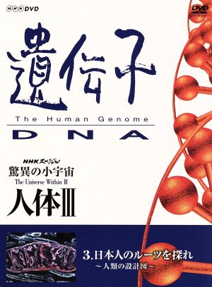 NHKスペシャル 驚異の小宇宙 人体Ⅲ vol.3日本人のルーツを探れ～人類の設計図～