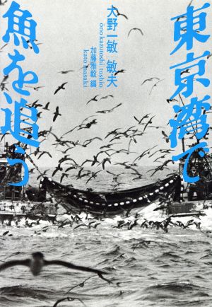 東京湾で魚を追う