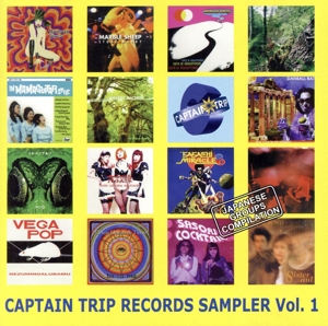 CAPTAIN TRIP RECORDS SAMPLER vol.1 JAPANESE GROUPS COMPILATION