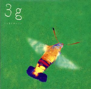 3g