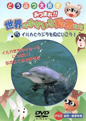 イルカとクジラを見にいこう！