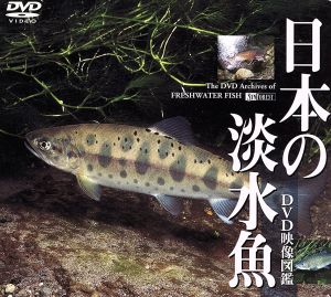 日本の淡水魚 DVD映像図鑑