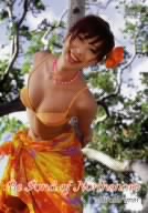 ノースショアが大好き