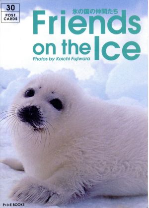 Friends on the Ice 氷の国の仲間たち Postcard Book