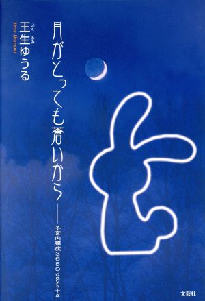 月がとっても蒼いから 子宮内膜症3650days+α