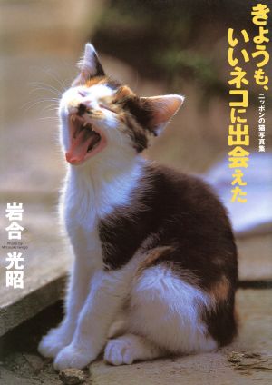 写真集 きょうも、いいネコに出会えた ニッポンの猫写真集