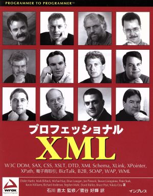 プロフェッショナルXMLProgrammer to programmer