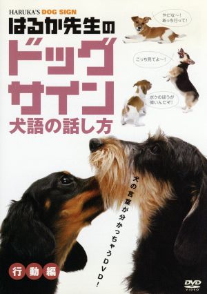 はるか先生のドッグサイン-犬語の話し方-Vol.2 行動編