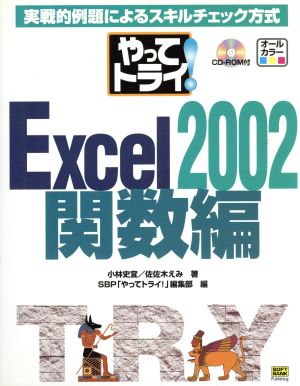 やってトライ！Excel2002 関数編(関数編) やってトライ！シリーズ