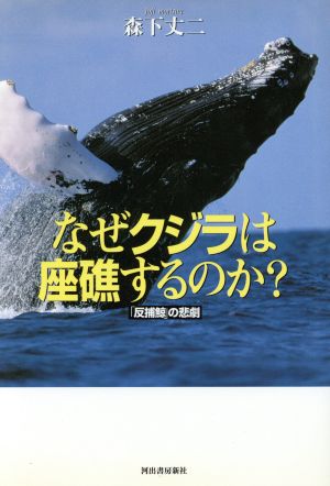 なぜクジラは座礁するのか？ 「反捕鯨」の悲劇