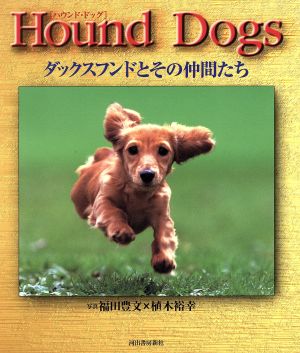 Hound Dogsダックスフンドとその仲間たち