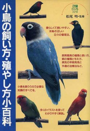 小鳥の飼い方・殖やし方小百科 2色刷ビジュアルシリーズ