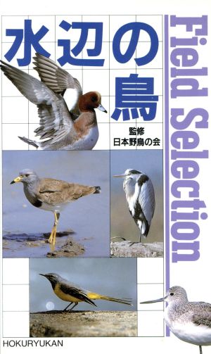 水辺の鳥 フィールドセレクション8