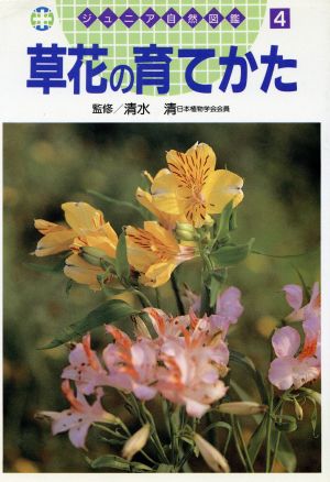 草花の育てかたジュニア自然図鑑4