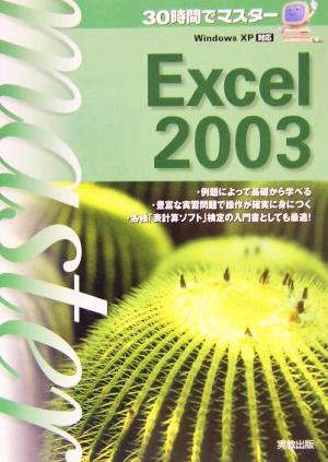 30時間でマスターExcel2003