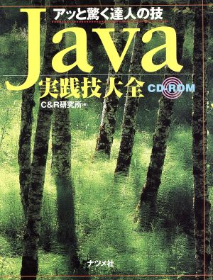 Java実践技大全 アッと驚く達人の技