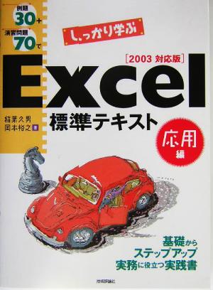 例題30+演習問題70でしっかり学ぶExcel標準テキスト 応用編(2003対応版)