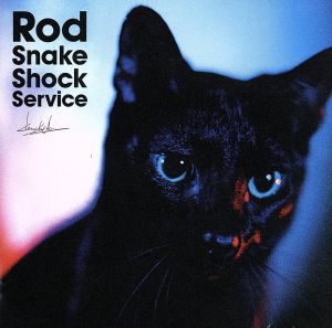 Rod Shake Shock Service