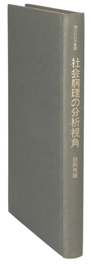 社会病理の分析視角 ラベリング論・再考 現代社会学叢書