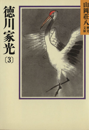 徳川家光(3) 山岡荘八歴史文庫 67 講談社文庫