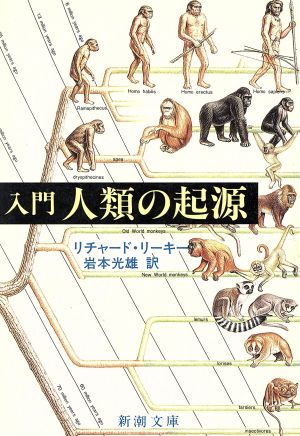 入門 人類の起源 新潮文庫