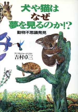 犬や猫はなぜ夢を見るのか!? 動物不思議発見