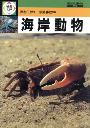 海岸動物 検索入門