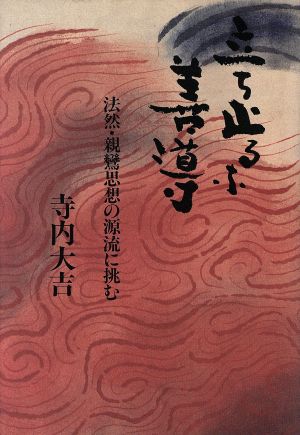 立ち止まるな善導 法然・親鸞思想の源流に挑む