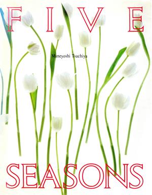 FIVE SEASONS