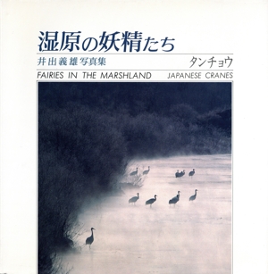 湿原の妖精たち タンチョウ 井出義雄写真集