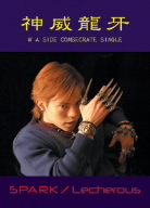 SPARK/Lecherous